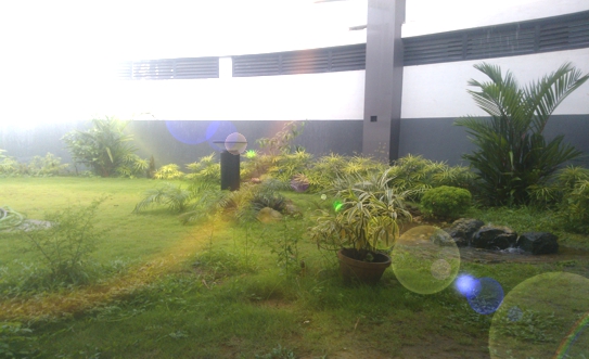 Semi circular garden in the morning  sunlight